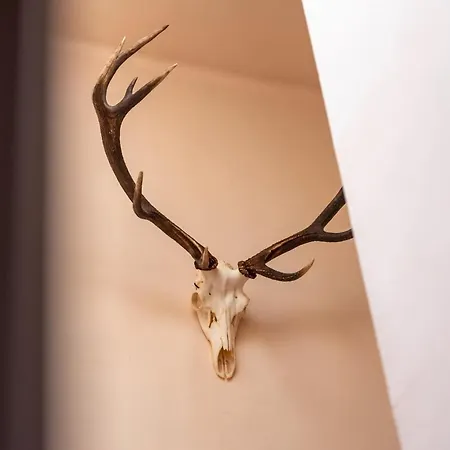 Le Cor De Chasse 2*