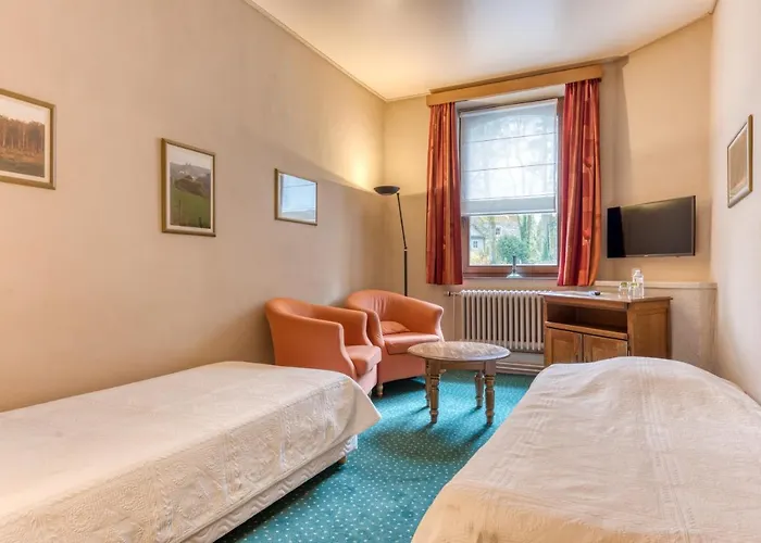 Le Cor De Chasse Hotel 2*