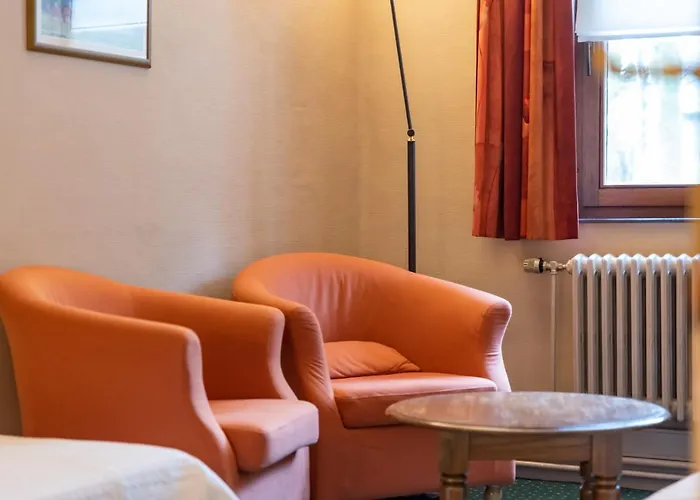 Le Cor De Chasse Hotel Saint-Hubert